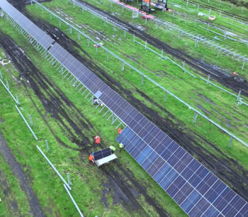 solar farms New Zealand