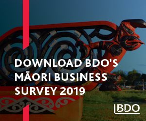 Download BDO's Maori Business Survey Report 2019
