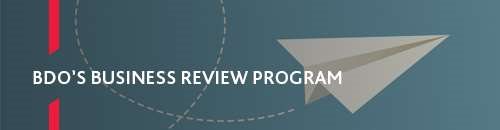 BDO Business review program