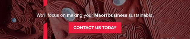Maori Business CTA