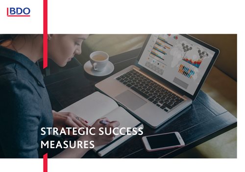Strategic Success Measures eBook